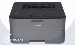 Brother HL-L2370DW Drivers Printer Download