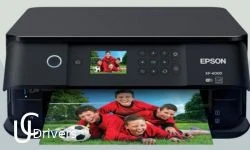 Epson Expression Premium XP-6000 Drivers Download