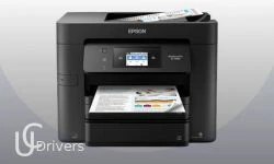 Epson WorkForce Pro EC-4030 Driver Printer Download