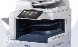 Xerox AltaLink C8030 Printer Drivers Download